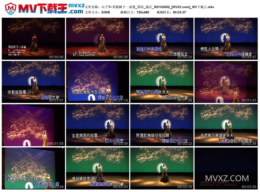 山子华-菩提树下一朵莲_国语_流行_MD102052